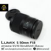 Lumix S 50mm F1.8