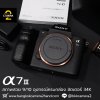 Sony A7III Body