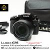 Lumix G95