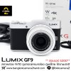 Lumix GF9