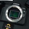 Canon EOS R8 Body