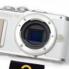 Olympus  E-PL8