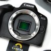 Canon EOS R50