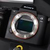 Sony A7III Body