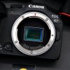 Canon EOS R7 Body