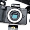 Lumix G100