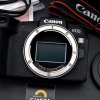 Canon EOS RP Body