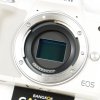 Canon EOS M50II