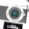 Lumix GF9