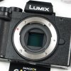 Lumix G100
