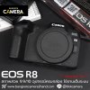 Canon EOS R8 Body