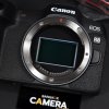 Canon EOS R8 Body
