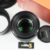FE90mm F2.8 Macro G