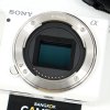 Sony ZVE10