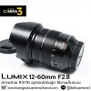 Lumix 12-60mm F2.8