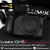 Lumix GH5s body