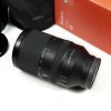 FE70-300 F4.5-5.6 G OSS