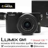 Lumix GM1
