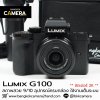 Lumix G100