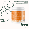 Pumpkin Plus Fiber Support