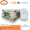 Carie Pluz Jumbo Roll 2-Ply Toilet Paper (1 x 12 rolls x 300 meters)