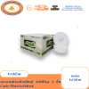 Carie Pluz Jumbo Roll 2-Ply Toilet Paper (1 x 12 rolls)