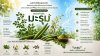 มะรุม (Moringa oleifera) พืชมหัศจรรย์แห่งพฤกษเคมีบำบัด มะรุม (Moringa oleifera) พืชมหัศจรรย์แห่งพฤกษเคมีบำบัด