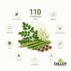 สรุป 110 สารสำคัญที่กระจายอยู่ในมะรุม moringa
