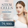 STEM CELLS for FACE สเต็มเซลล์เพื่อการฟื้นฟูผิว