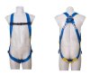 ชุดนิรภัยแบบเต็มตัว (Full Body Harness) 3M รุ่น 1390000
