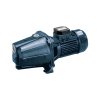 ปั๊มหอยโข่งดูดเอง EBARA รุ่น AGA/E 1.00M (IE2) 0.75KW