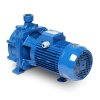 ปั๊มหอยโข่งใบพัดคู่ EBARA รุ่น CDA-1.50M (1.5HP)