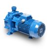 ปั๊มหอยโข่งใบพัดคู่ EBARA รุ่น CDA-1.50T (1.5HP)