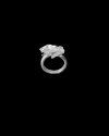 Unsent Ring