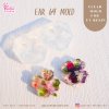 Ear 69 Four- Leaf Clover Clear Mold / Earring Mold / UV Resin Mold / Clear Silicone Mold