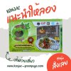 บุกเส้นก๋วยเตี๋ยว