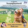 วันที่ 10 กันยายน : วันกอดสุนัขแห่งชาติ