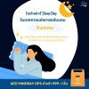 วันแห่งการนอนหลับ (Festival of Sleep Day) วันแห่งการนอนหลับ (Festival of Sleep Day)