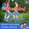 โรค : ไข้รากสาดใหญ่ โรค : ไข้รากสาดใหญ่