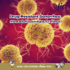 Drug-Resistant Gonorrhea: ทำไมหมอถึงกังวลมากที่สุดใน STI ทั้งหมด Drug-Resistant Gonorrhea: ทำไมหมอถึงกังวลมากที่สุดใน STI ทั้งหมด