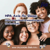 HPA Axis กับ Sleep: ทำไมการนอนน้อยทำลายฮอร์โมนผู้หญิงได้อย่างน่ากลัว HPA Axis กับ Sleep: ทำไมการนอนน้อยทำลายฮอร์โมนผู้หญิงได้อย่างน่ากลัว
