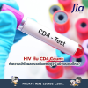 HIV กับ CD4 Count: ทำความเข้าใจผลตรวจที่แพทย์ดูว่า 'แข็งแรงแค่ไหน?' HIV กับ CD4 Count: ทำความเข้าใจผลตรวจที่แพทย์ดูว่า 'แข็งแรงแค่ไหน?'
