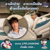 คำถาม : เชื้อ Salmonella คืออะไร