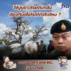 คำถาม : ใช้ปูนขาวโรยดับกลิ่น ป้องกันเชื้อโรคได้จริงไหม ?