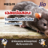 เฉลย:โรคเลปโตสไปโรซิส (Leptospirosis) หรือ โรคฉี่หนู อาการ การรักษา และการป้องกันที่ควรรู้