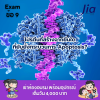 โปรตีนที่สร้างจากยีนใด ที่ยับยั้งกระบวนการ Apoptosis? โปรตีนที่สร้างจากยีนใด ที่ยับยั้งกระบวนการ Apoptosis?