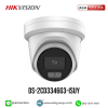 HIKVISION รุ่น DS-2CD3346G3-ISU(Y)