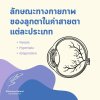 ลักษณะทางกายภาพของลูกตาในค่าสายตาแต่ละประเภท ลักษณะทางกายภาพของลูกตาในค่าสายตาแต่ละประเภท