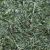 Sayaka — Japanese Steamed Sencha