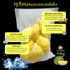Monthong Durian Frozen ทุเรียนหมอนทองแช่แข็ง 1,000 g. พรีเมี่ยม